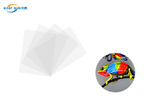 Καλή τιμή Συμβατικό πλάτος 60cm άσπρο χρώμα ταινιών μεταφοράς θερμότητας 33cm 30cm DTF σε απευθείας σύνδεση