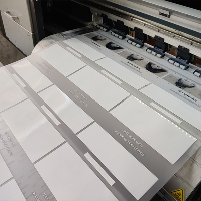 Good price Ζωηρόχρωμη εύκολη φλούδα 30Cm ρόλος ταινιών της Pet για τη μεταφορά θερμότητας Dtf σε απευθείας σύνδεση